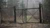 Image result for "Петрушкевіч"