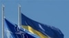 У Данії підтримують вступ України до НАТО, але озираються на Москву