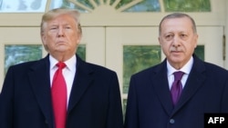 Дональд Трамп и Реджеп Эрдоган перед встречей в Белом доме, 13 ноября 2019 года