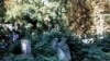 Польща дбає про cпадщину у Львові 
