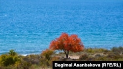 Ысык-Көл, Бостери айылы.