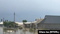 Өргебас ауылы. Түркістан облысы, Мақтарал ауданы. 3 мамыр 2020 жыл.