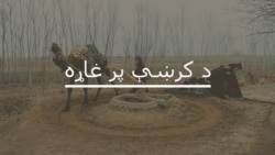 د کرښې په غاړه / ډینګي تبه