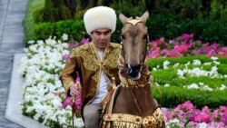 Maksadyň başdan geçirmeleri: Türkmen prezidentiniň britan premýer-ministrine beren sowgatlyk atynyň başdan geçirenleri