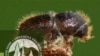 16x9 Image