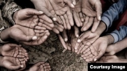 Oxfam bëri të ditur se rreth 155 milionë njerëz në të gjithë botën aktualisht jetojnë me pasiguri për qasje në ushqim.