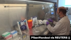 Egy labortechnikus egy potenciális koronavírus elleni oltóanyag mintáival a Pfizer üzemében, St. Louis-ban Missouri államban az Egyesült Államokban.