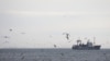Українці допомагають голодуючим грузинським морякам у Лівії