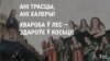 Image result for Шэйн
