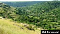 Păduri la Căpriana, Republica Moldova, imagine de arhivă.