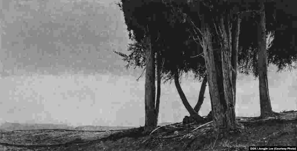 Ли Цзюнджинь, Безымянная дорога, 2011