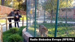 Илустрација - Посетители во близина на кафезот на леопардот во зоолошка градина во Скопје.