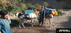 Сотни семей в районе Гизаб провинции Дайкунди были насильственно выселены талибами.