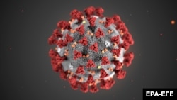 Coronavirus - generic